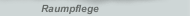 Raumpflege