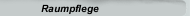 Raumpflege